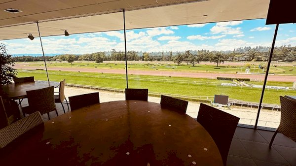 article good for events - L'HIPPODROME DE LYON - PARILLY CELEBRE SON ANNIVERSAIRE DES 60 ANS AVEC DE NOMBREUSES NOUVEAUTES !