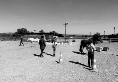 good for events - Equi Coaching 